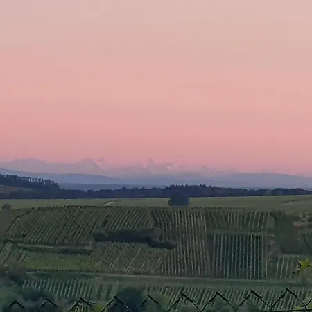 Les Du Holzweg Mittelbergheim