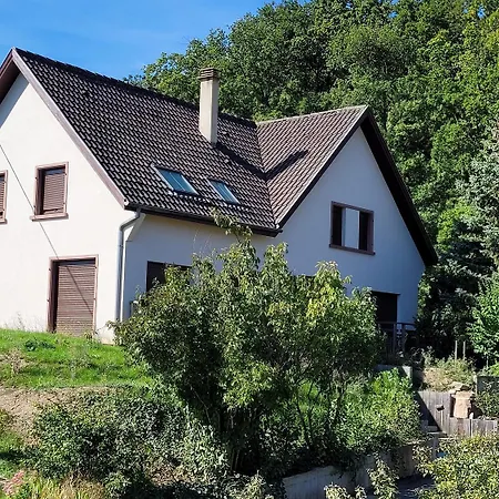 Les Du Holzweg Apartament Mittelbergheim