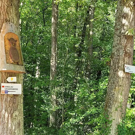 Les Du Holzweg * Mittelbergheim