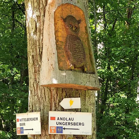 Les Du Holzweg Apartament *